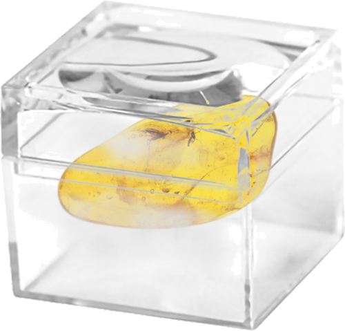 1,40 g Gintaro grynuolis su inkliuzais (2)