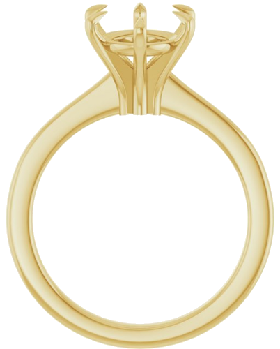 Sužadėtuvių Žiedas „Claw-Prong“ 14k yellow gold Oval 10mm x 8mm (2)
