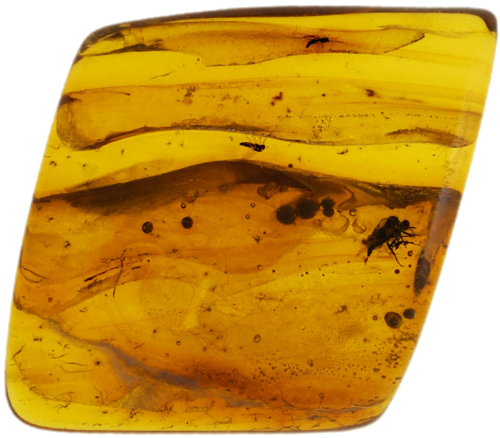 1,25 g Amber Nugget with inclusion (1)