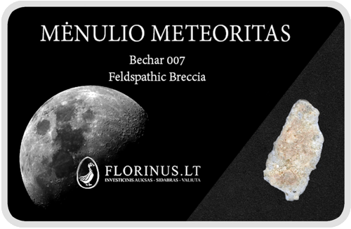 Lunar Meteorite (1)