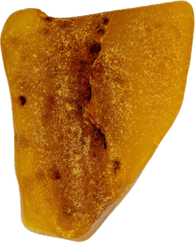 7.70 g Sea amber nugget (1)