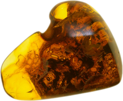 10,10 g Gintaro grynuolis su inkliuzu (1)