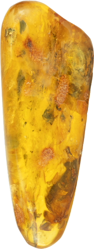 20.65 g Amber nugget with inclusion (1)