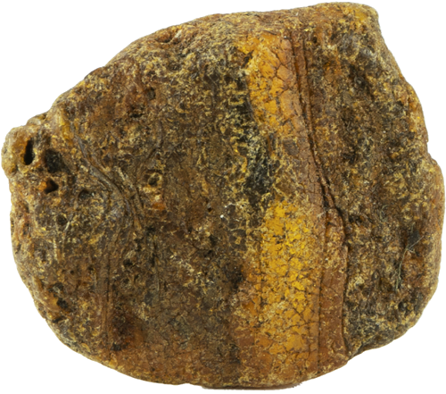 4,15 g Jūrinio Gintaro grynuolis (1)