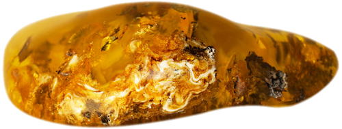 57,55 Amber Nugget (1)