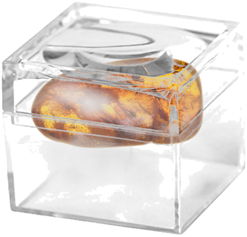 5,65 g Amber Nugget with inclusion (2)