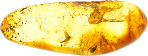 1,70 g Amber Nugget with inclusion (1)