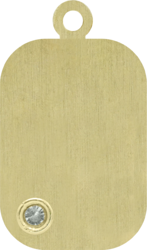 0,06 ct deimantu inkrustuotas graviruojamas aukso pakabukas (2)