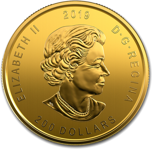 2019 Kanados Briedis 1 oz auksinė 99999 moneta (4)