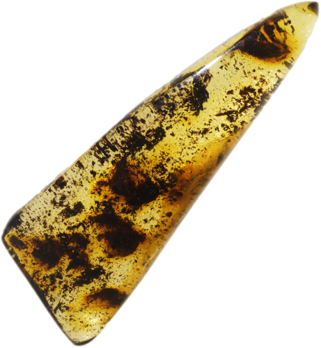 8,40 g Amber nugget (2)