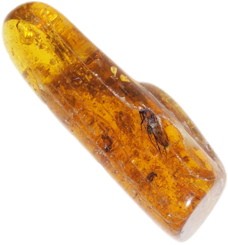 1,55 g Amber Nugget with inclusion (1)