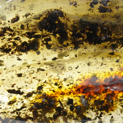 31,60 g Amber nugget (2)