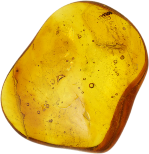 1,45 g Amber Nugget with inclusion (1)