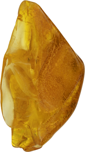 6,70 g Gintaro grynuolis su inkliuzu (1)