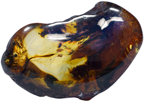 31,60 g Amber nugget (2)