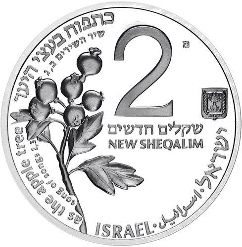 2 naujieji šekeliai Elniai 1993 Izraelis sidabrinė moneta (2)