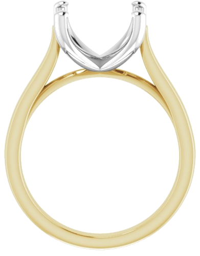 Sužadėtuvių Žiedas 14k yellow/white gold Round 11mm (2)