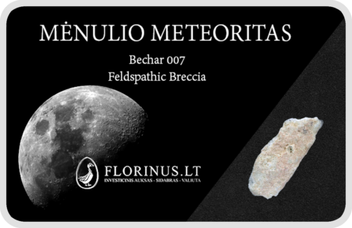Lunar meteorīts (1)