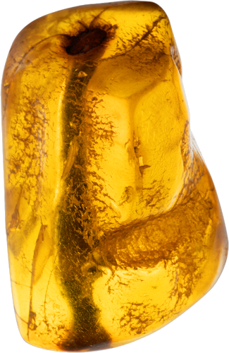 3,90g Amber nugget with inclusion (4)