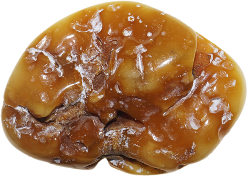 15,05 g Amber nugget (2)