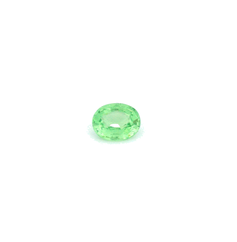 0.35 carat GREEN Oval Garnet (1)