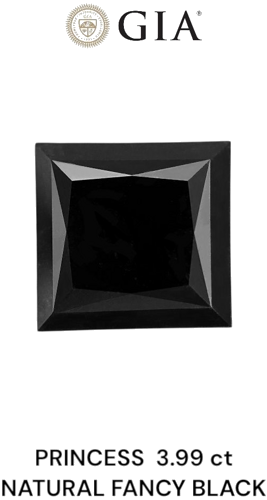 3.99 carat Fancy Black-VVS2 Natūralus Princess Deimantas (1)