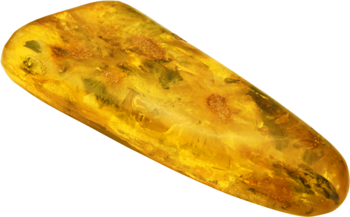 20.65 g Amber nugget with inclusion (2)