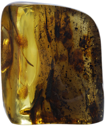 70,50 g Gintaro grynuolis (1)