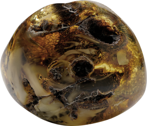 12,20 g Amber nugget with wood inclusion (1)