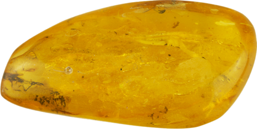 13,05 g Amber nugget with inclusion (1)