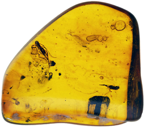 1,90 g Amber Nugget with inclusion (1)
