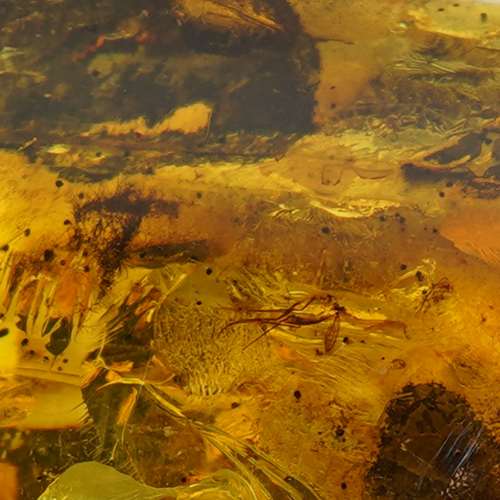 Самородок янтаря 31,60 г (4)