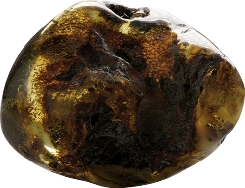 12,20 g Amber nugget with wood inclusion (4)