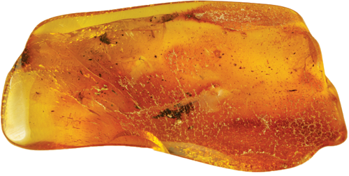 10,25 g Amber Nugget with inclusion (2)