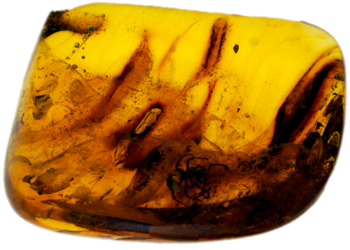 Самородок янтаря с инклюзом 5,30 г (1)