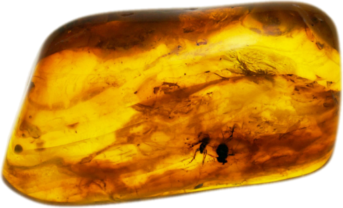 3,25 g Amber Nugget with inclusion (1)