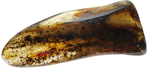 31,60 g Amber nugget (3)