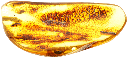 7,20 g Amber nugget (1)