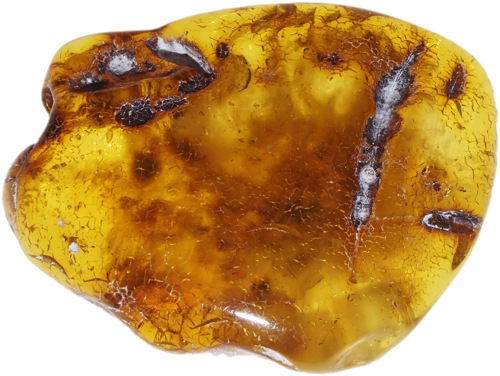 8,65 g Amber nugget (2)