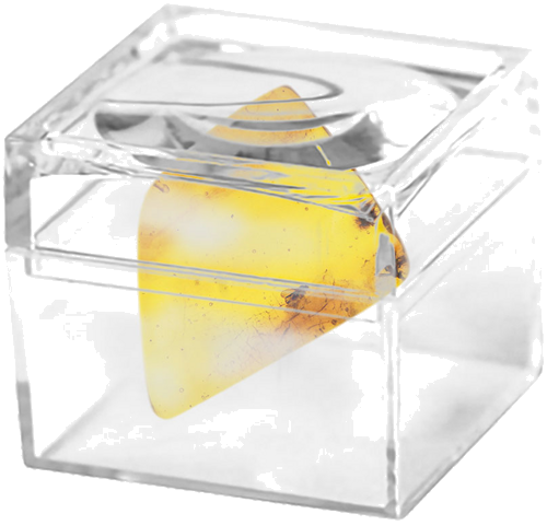 2,70 g Gintaro grynuolis su inkliuzu (2)