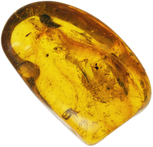 3,05 g Dzintara tīrradnis ar inkrustāciju (1)