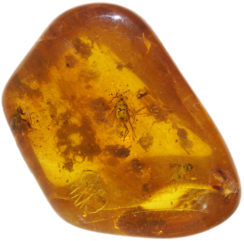 3,60 g Amber Nugget with inclusion (2)