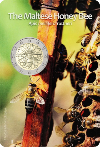 2024 Malta Bee 2 Euro Coin in BU Card (2)