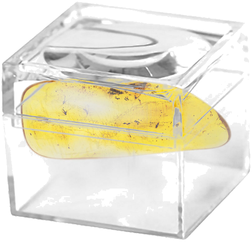 Самородок янтаря с инклюзом 2,40 г (2)