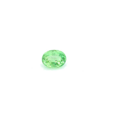 0.45 carat GREEN Oval Garnet (1)