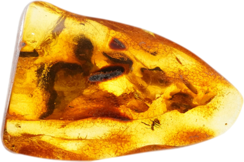 3,05 g Amber Nugget with inclusion (1)