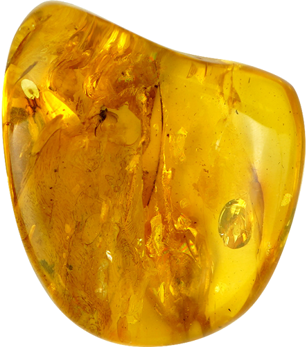 22,15 g Gintaro grynuolis su musės inkliuzu (1)