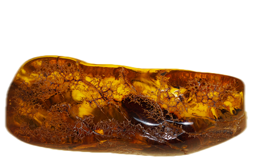 20,75 g Amber Nugget with inclusion (1)