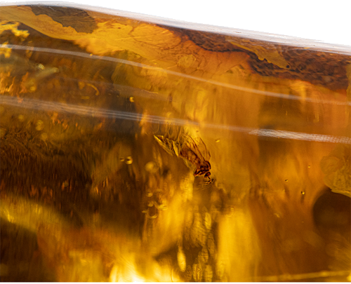 36,90 гр. Самороден кехлибар с фосил (2)