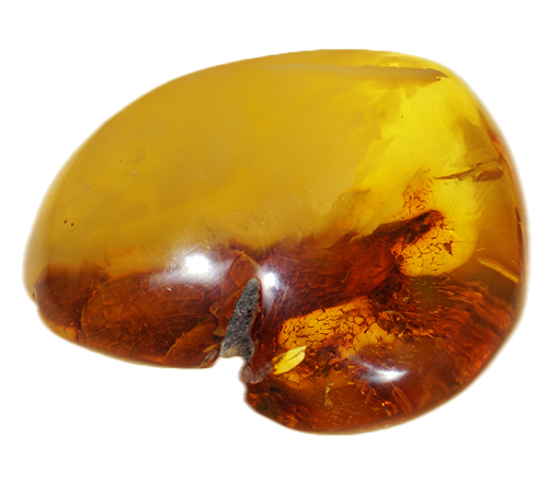 19,55 g Amber Nugget (2)